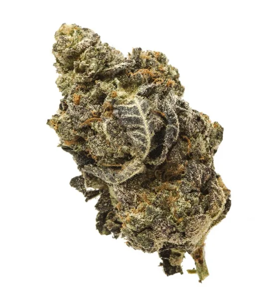 ALIEN COOKIES HYBRID STRAIN