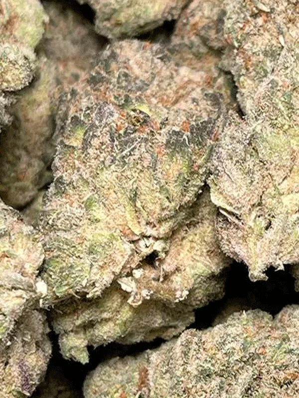 Blue Dream Top Shelf