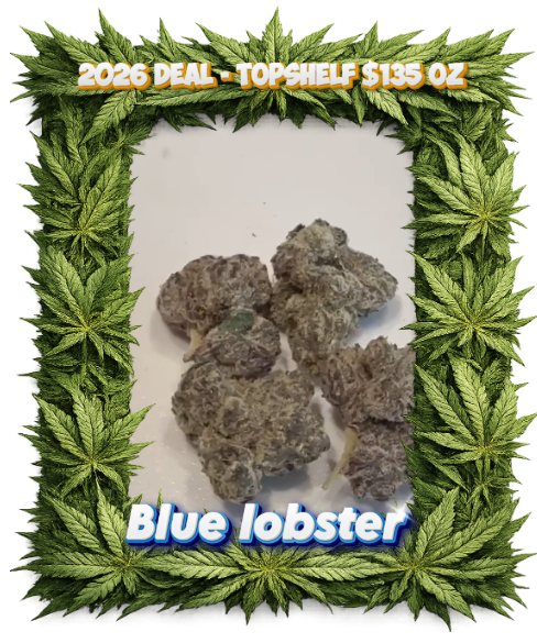 Blue lobster - TOP Shelf - Chicago Cannabis delivery service
