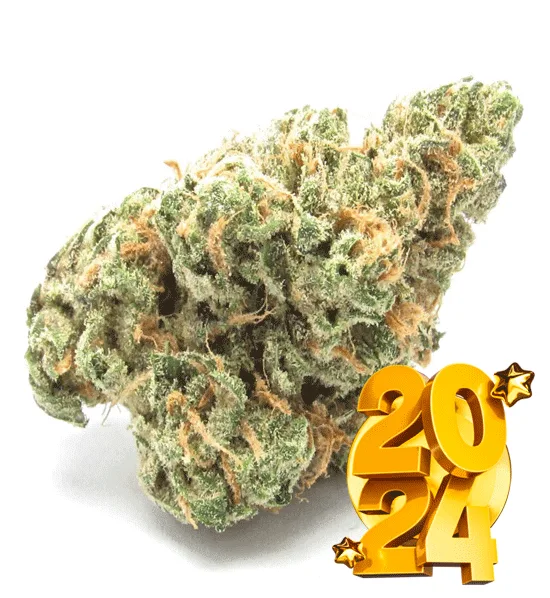 EXOTIC BLUE DREAM HYBRID STRAIN