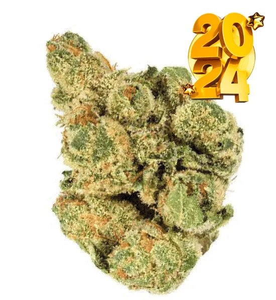 Gorilla Glue #4