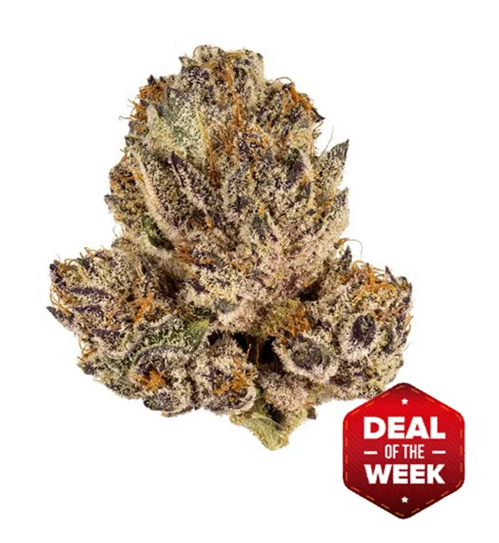 GRAPE APEDELIVERY OF BEST CANNABIS FLOWERS ON CHICAGO
