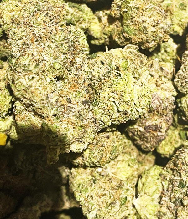 Super lemon haze