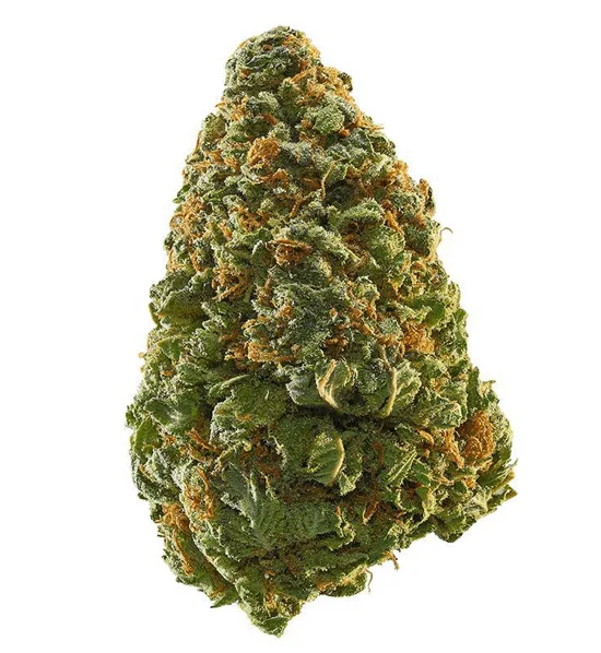 GREEN CRACK HYBRID STRAIN