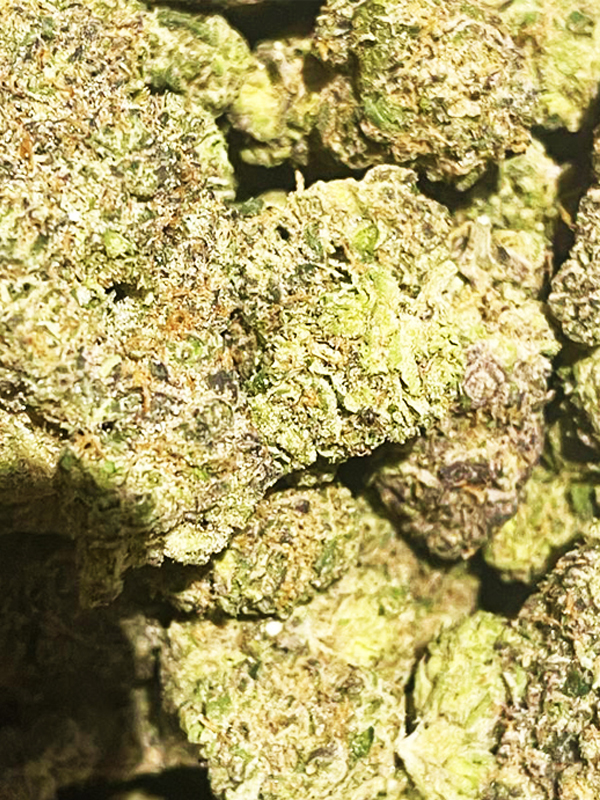 Jack Herer top