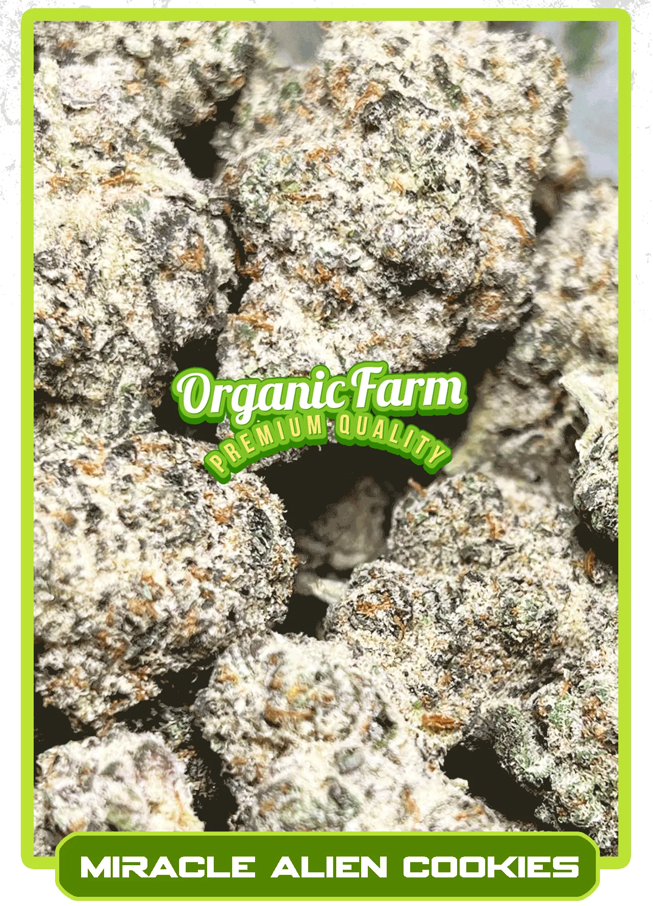 Miracle Alien Cookies