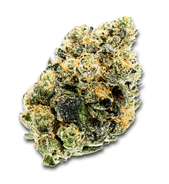 NEW GIRL SCOUT COOKIES HYBRID STRAIN - DELIVERY OF BEST CANNABIS FLOWERS ON CHICAGO