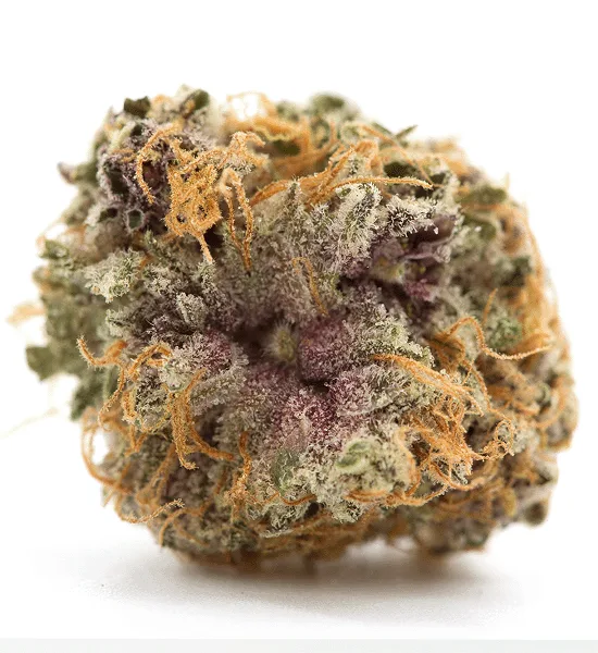 NINJA FRUIT EXOTIC