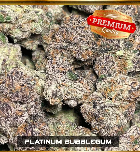 Platinum BubbleGum (EXOTIC)