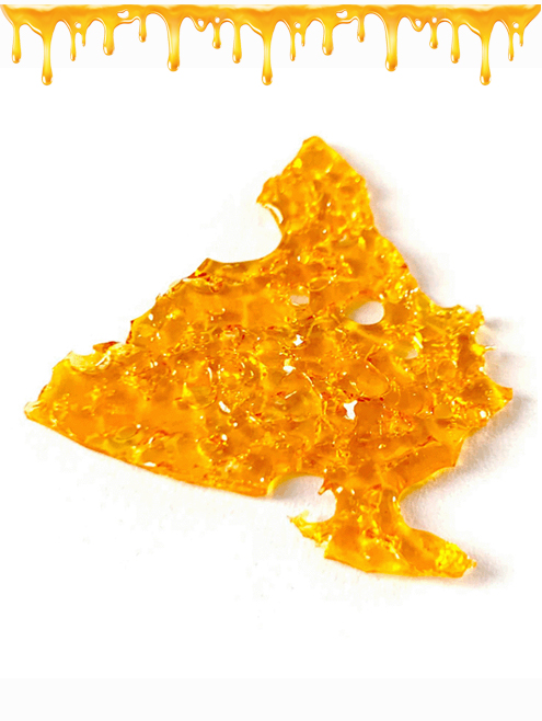 SHATTER JUNGLE BOYS