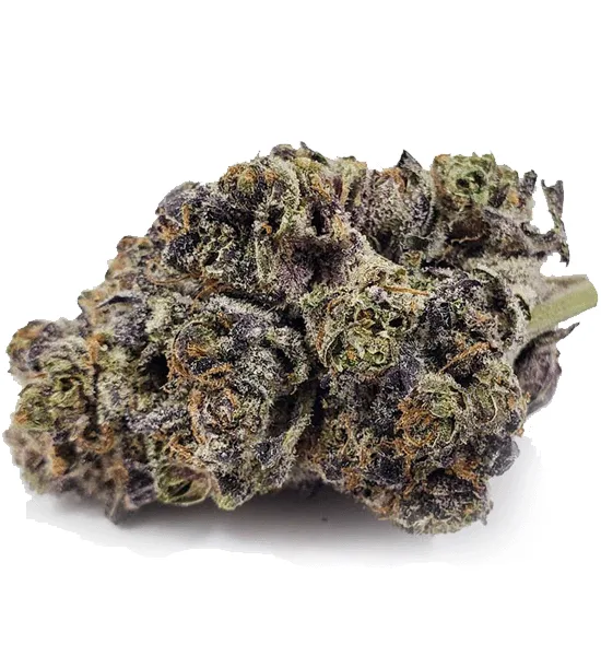 SPACE COOKIES HYBRID STRAIN