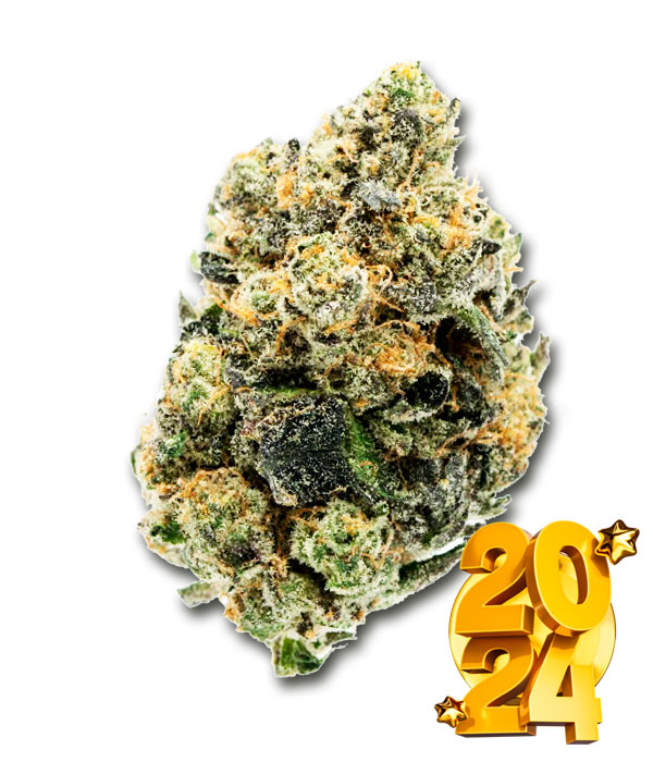 WEDDING PIE  STRAIN HYBRID